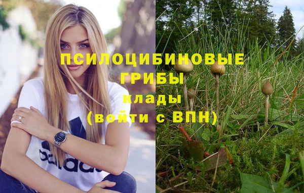 кокаин премиум Алексин