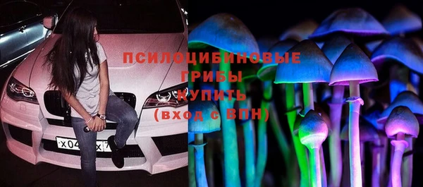 ешки Алзамай