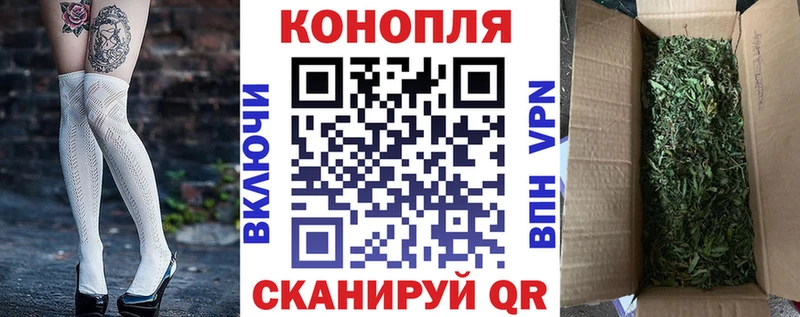 Бошки марихуана индика наркота Звенигово